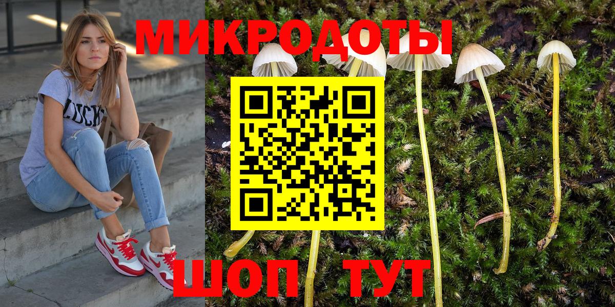 Псилоцибиновые грибы Psilocybe  Вход с VPN  Псилоцибиновые грибы GOLDEN TEACHER  дарнет шоп  Холмск 