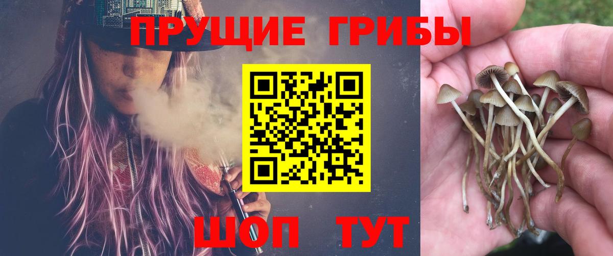 Галлюциногенные грибы Magic Shrooms Холмск